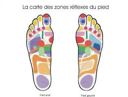 cartographie zones réflexes